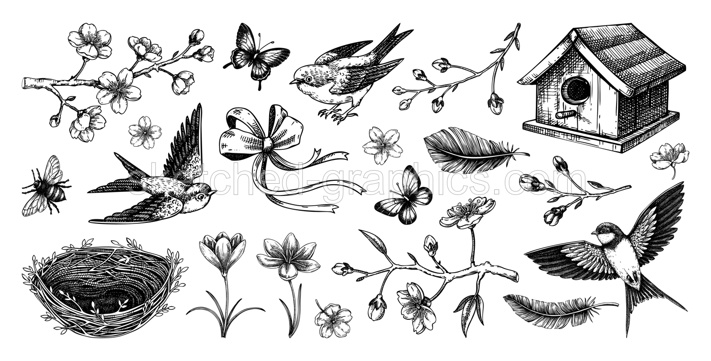 Hand-drawn spring sketches. Flying birds, sakura flowers, bird house, saffron vector illustrations. Easter design elements. NOT AI generated Illustration